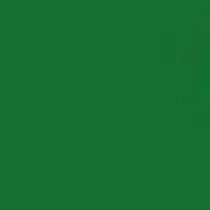 Meet your Posher, Sammi